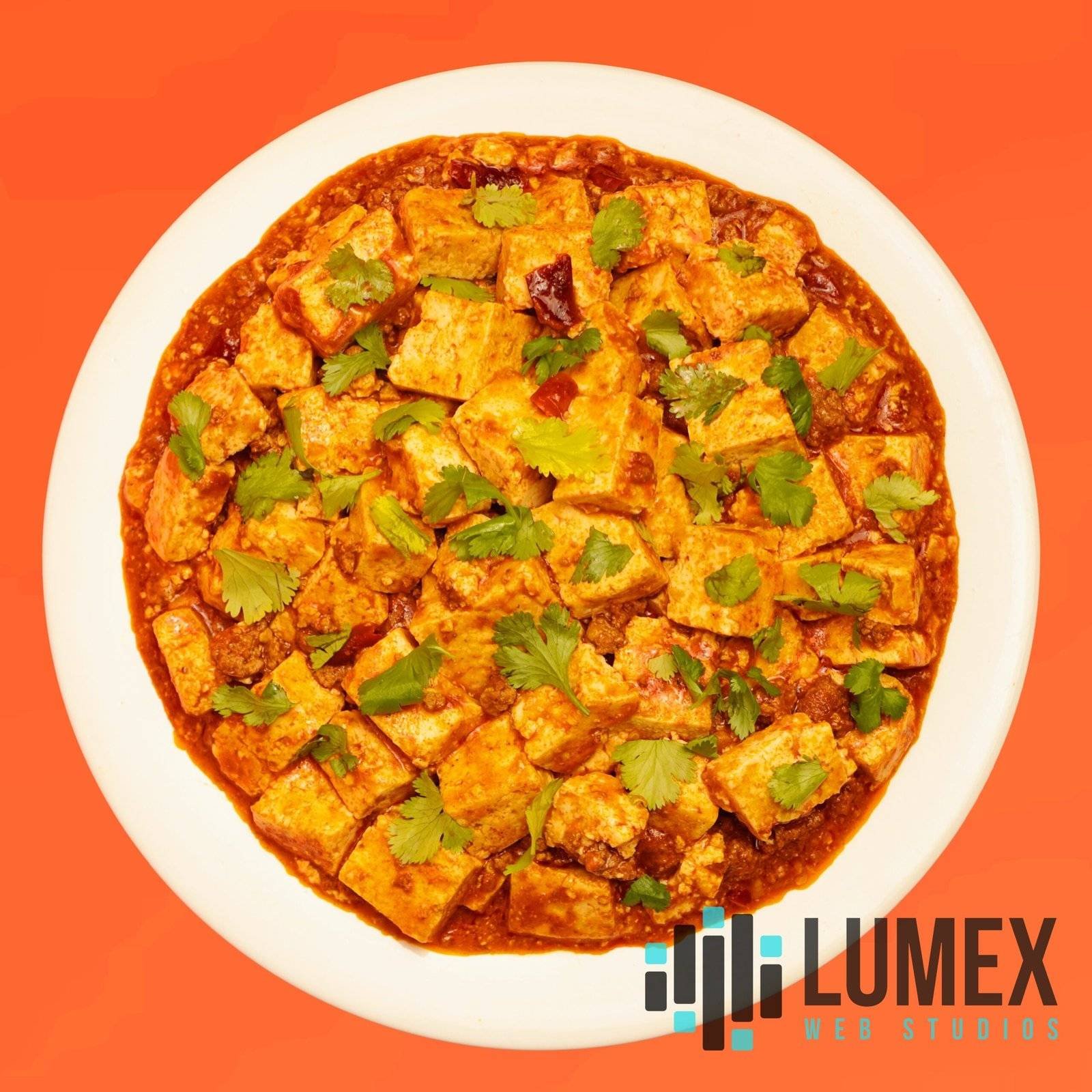 A dish photographed on a Lumex shoot